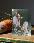 Cards - Thinking of You Banksia